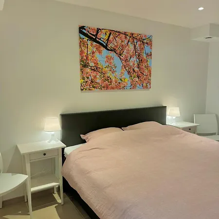 Rodeberg Belle Vue Вестоутер