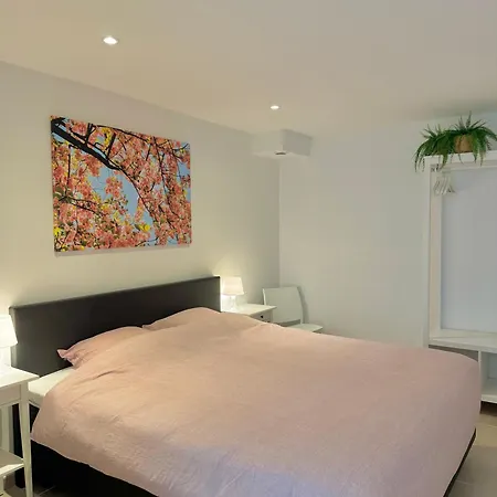 Rodeberg Belle Vue Holiday home *